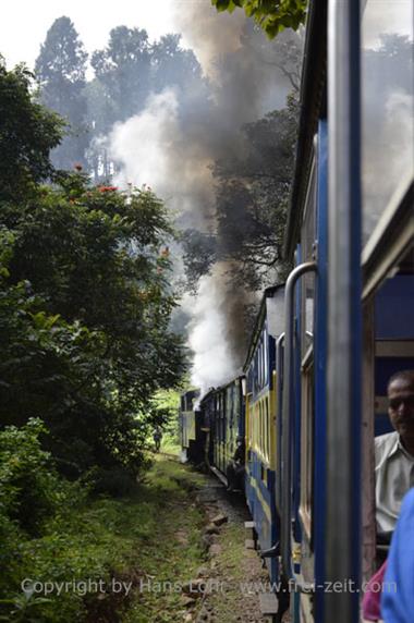 Nilgiri-Blue-Mountain-Train, Mettupalayam - Coonoor_DSC5461_H600